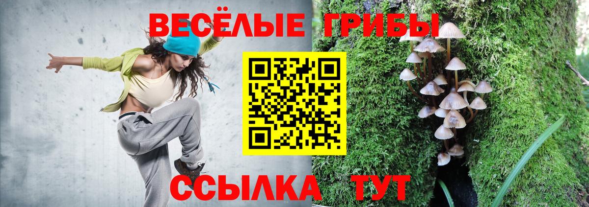 Псилоцибиновые грибы прущие грибы Лобня